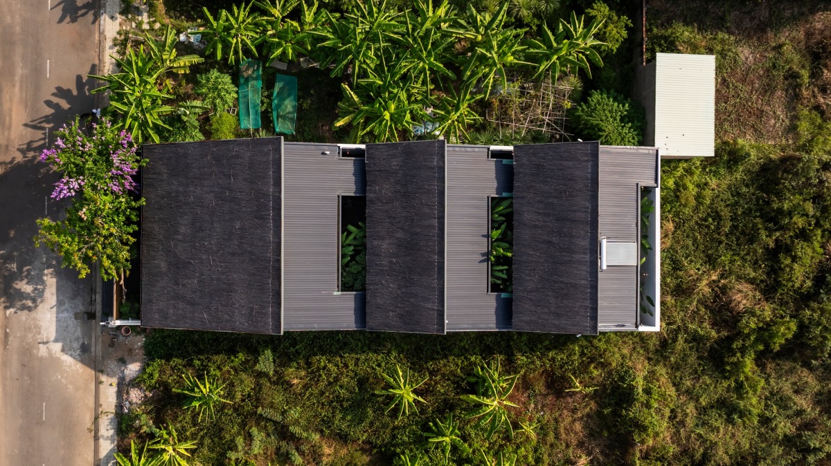 Hanging Garden 1